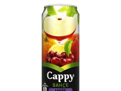 Cappy Karışık 330ml Kutu | 65,00